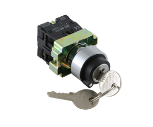 Picture of 2 POS KEY SWITCH,2 SPRING RETL, NO + NC