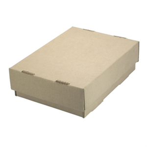 Picture of BOX RET 2P 210x154x66mm